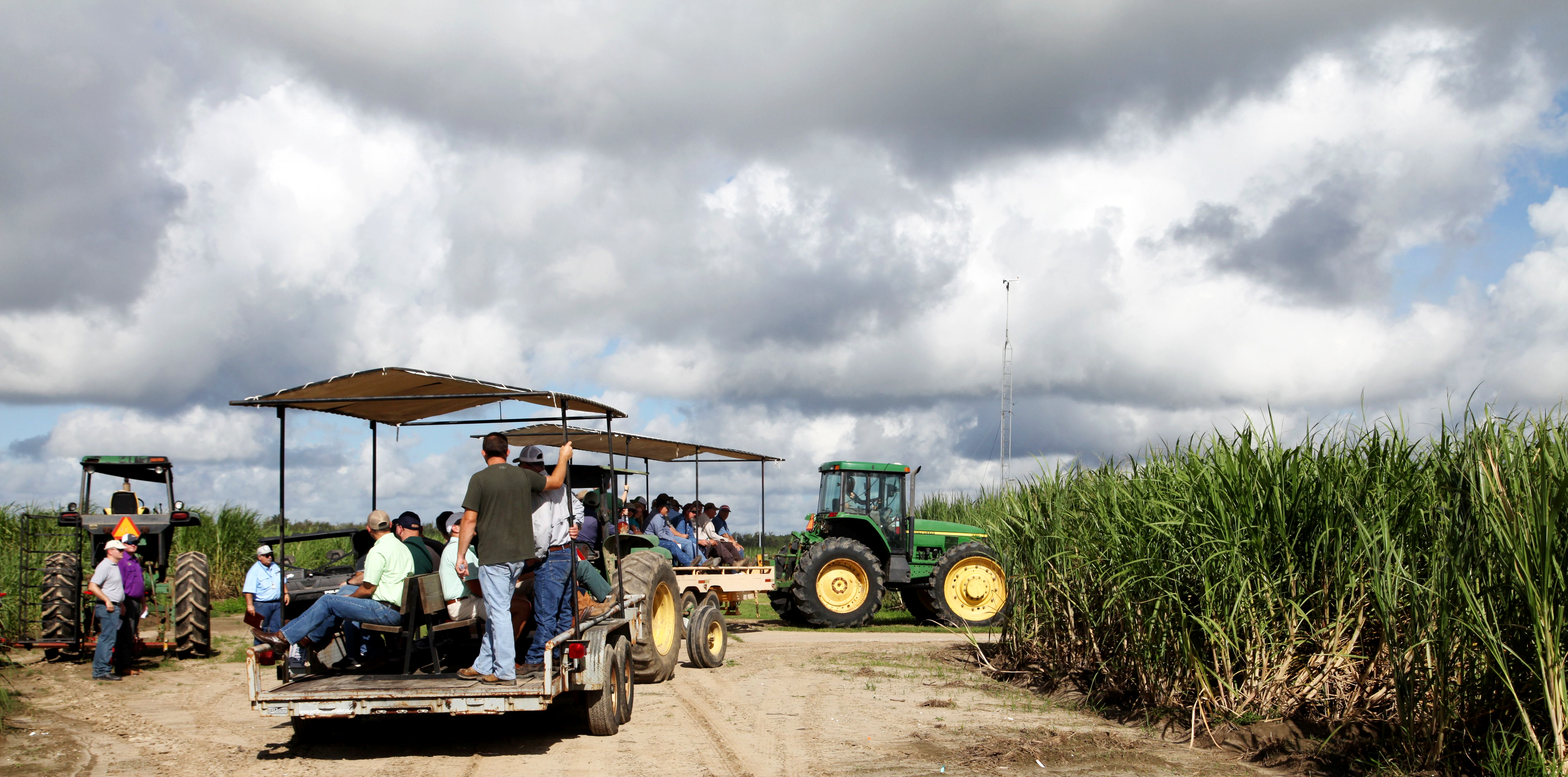 2019 USDA Laforuche Terrebonne Sugarcane Field Day