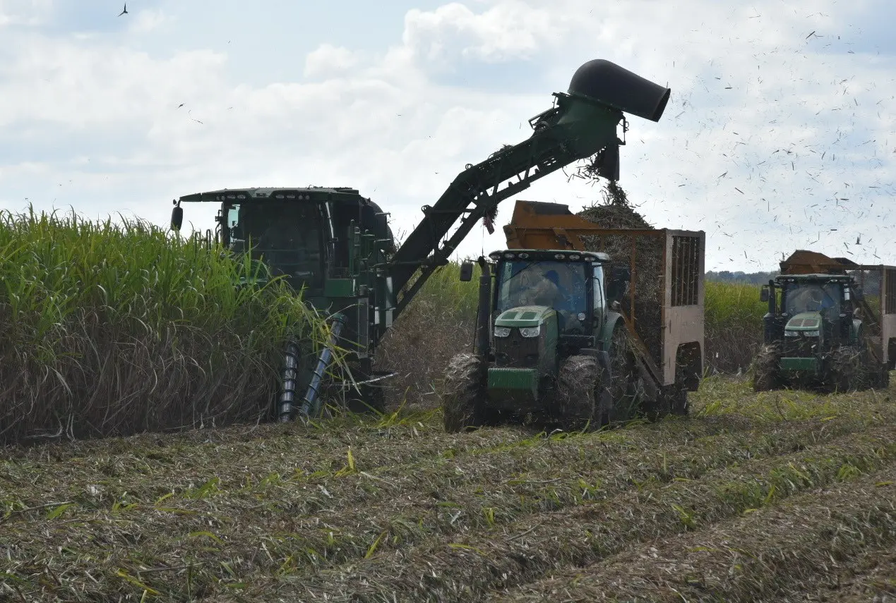 99D8DC95-39F0-4285-9750-E15CEEF3CD88.jpeg thumbnail