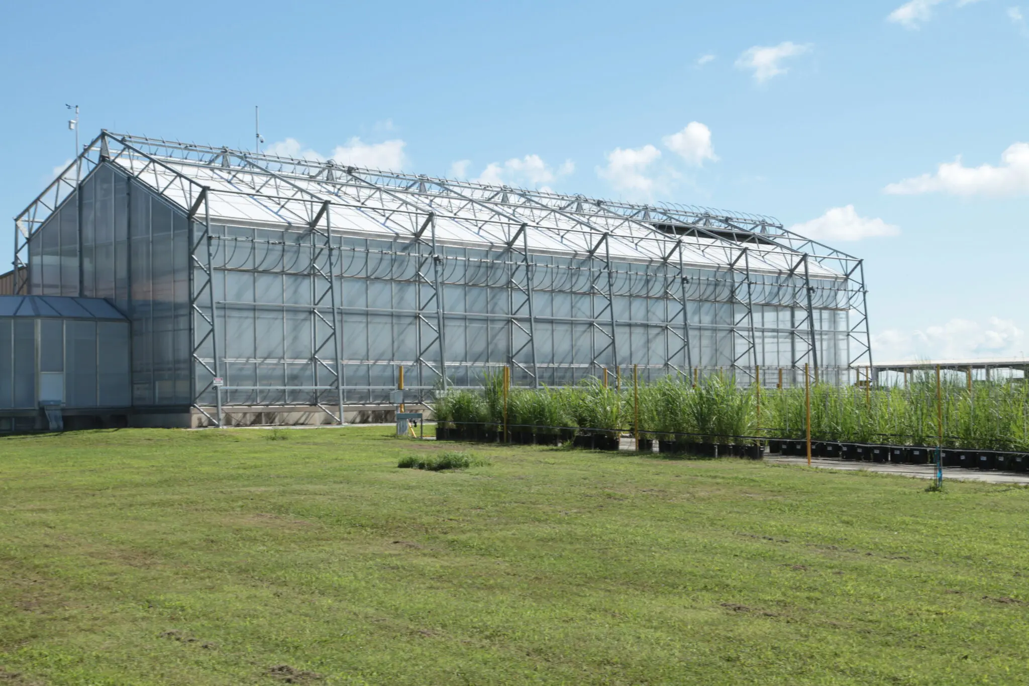 ASCL: $10 million for USDA’s Sugarcane Research Unit in Schriever