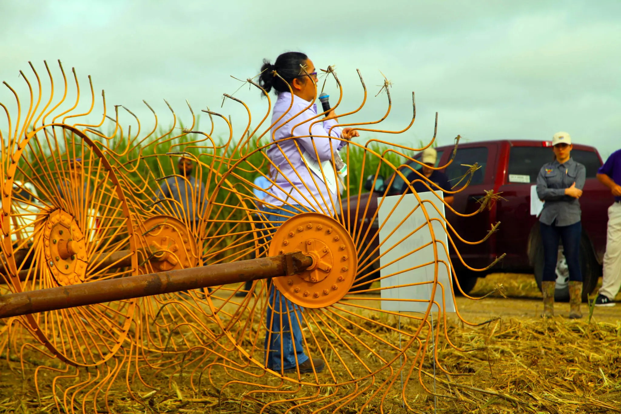 AgCenter hosts Assumption Parish sugarcane field day