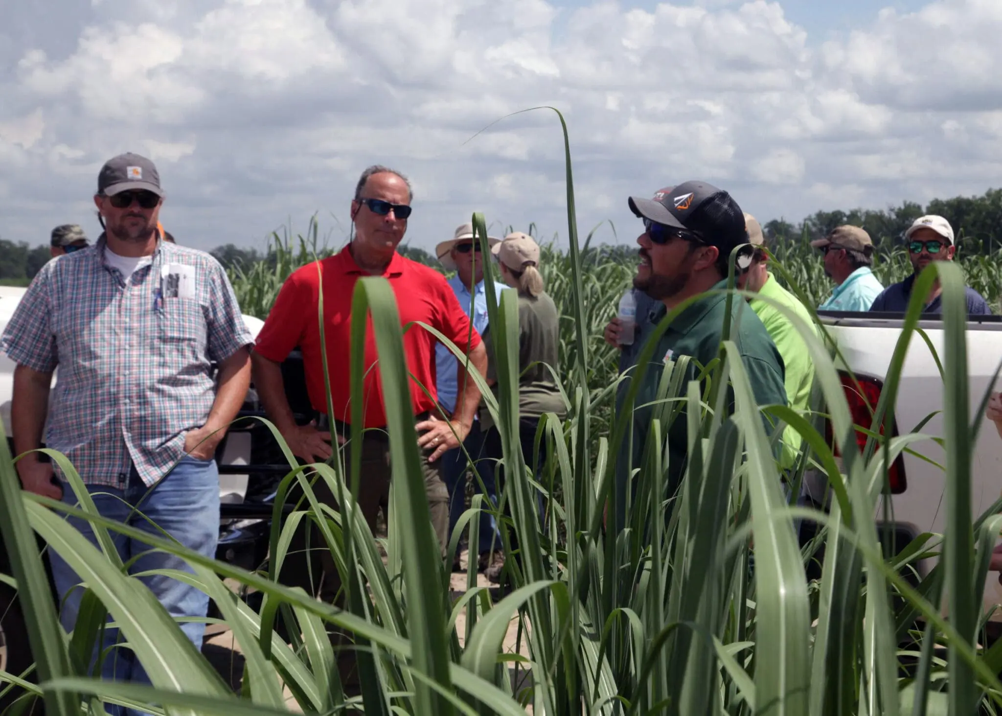 As La. sugarcane belt grows, so does AgCenter research, outreach