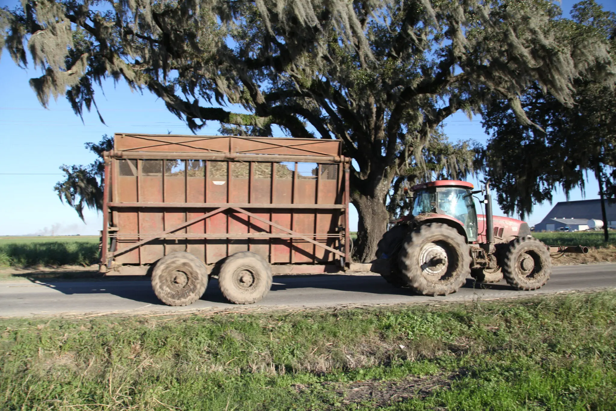 Sugarcane’s Economic Impact