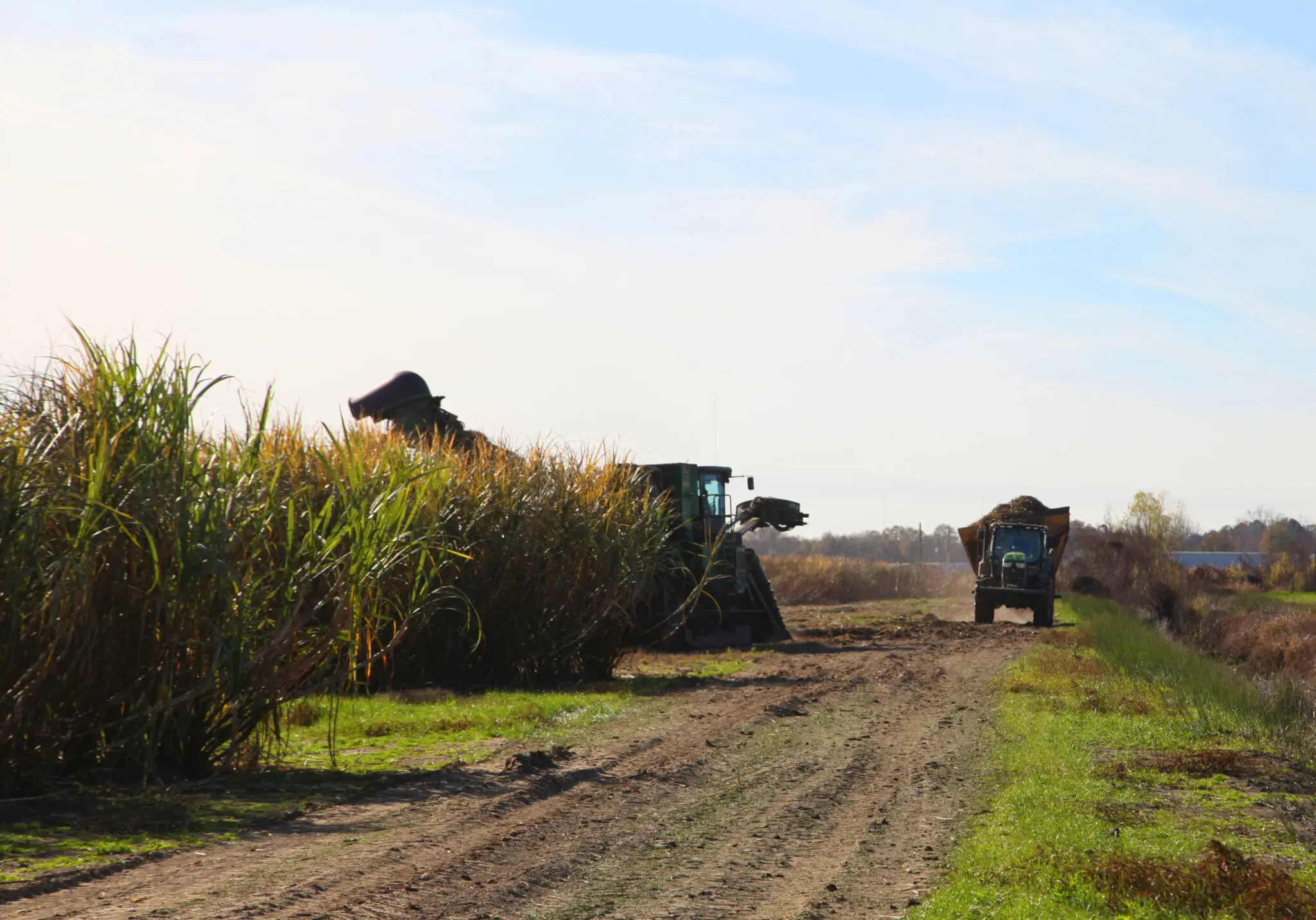 2023 Louisiana Sugarcane Crop Summary