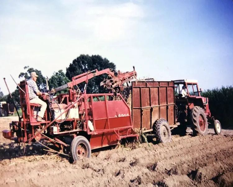 Vintage Julien cane planter set for River Road African American Museum