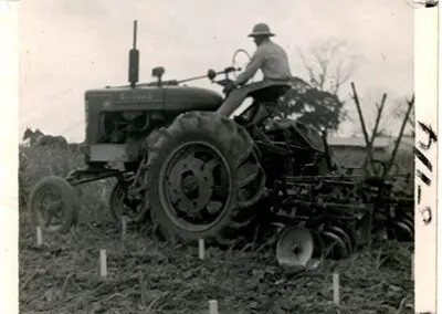 Sugar480CultivatingseedlingsatHoumaJune5