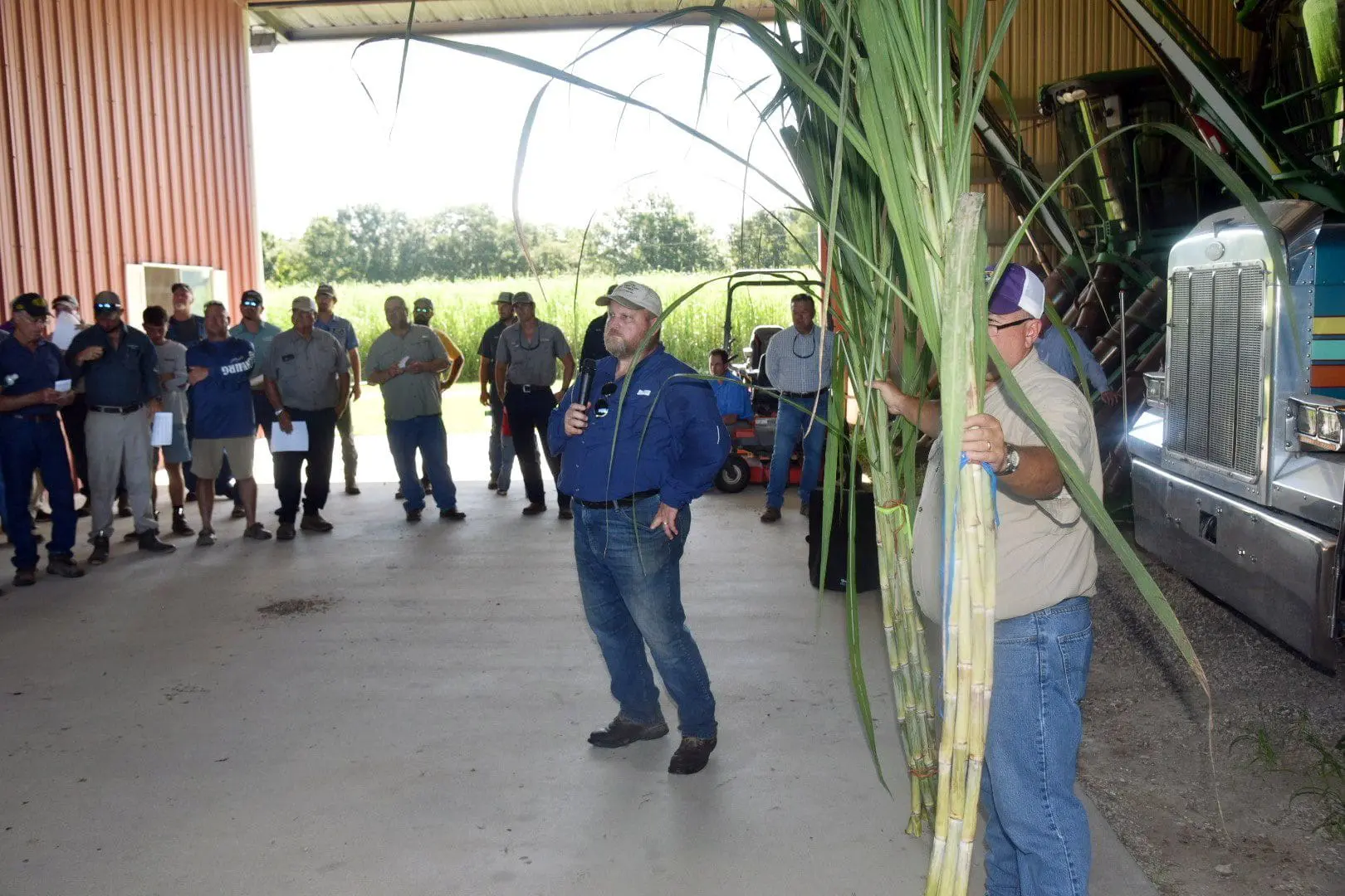 SW Region sugarcane field days highlight new varieties, emerging technologies