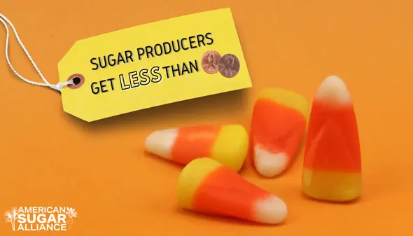 What’s in Your Halloween Haul?