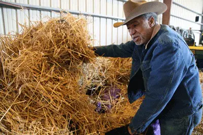 Chalres Guidry still grows sweet potatoes