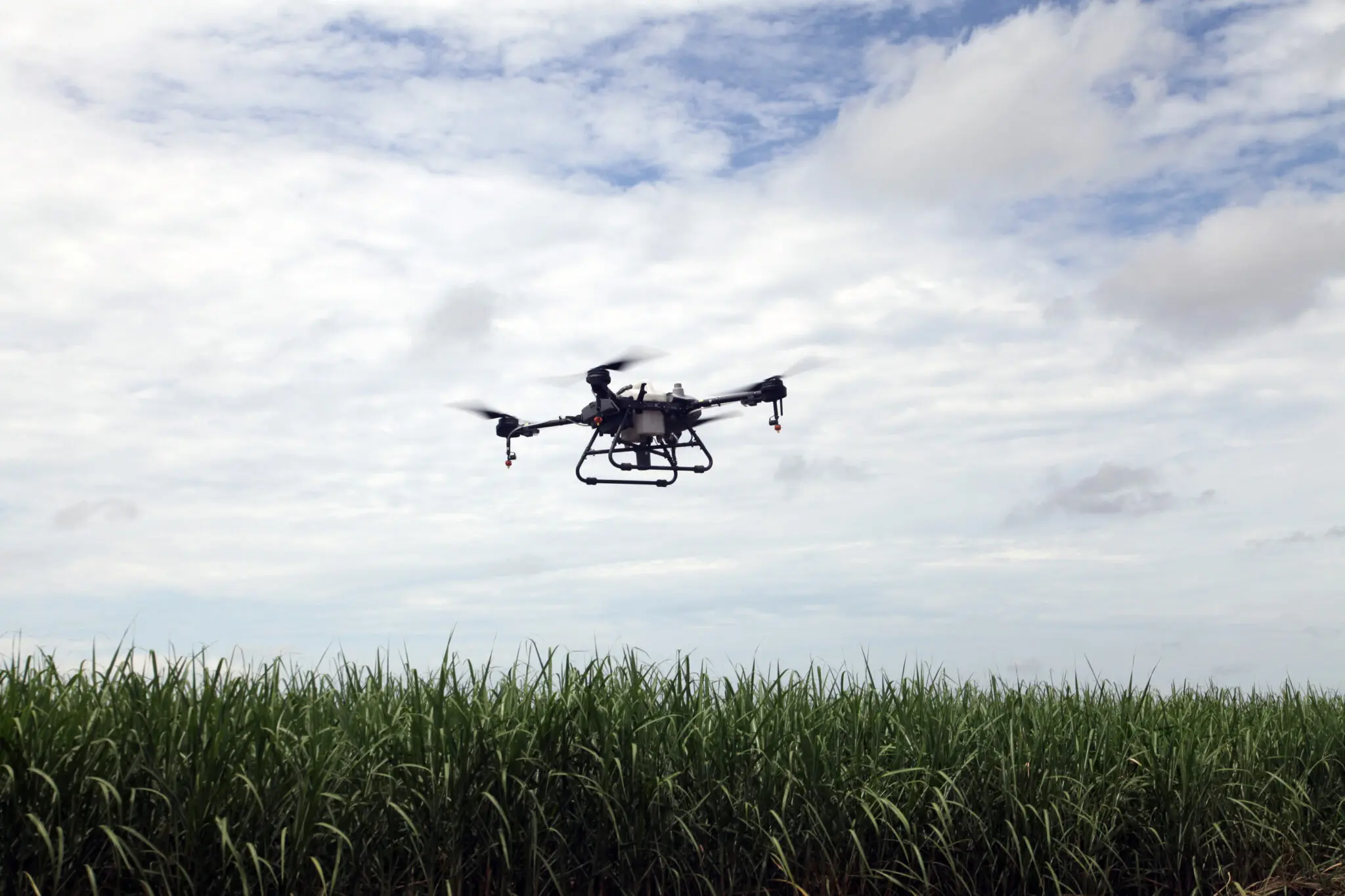 Sprayer Drone Use and Utilization in Louisiana Agriculture