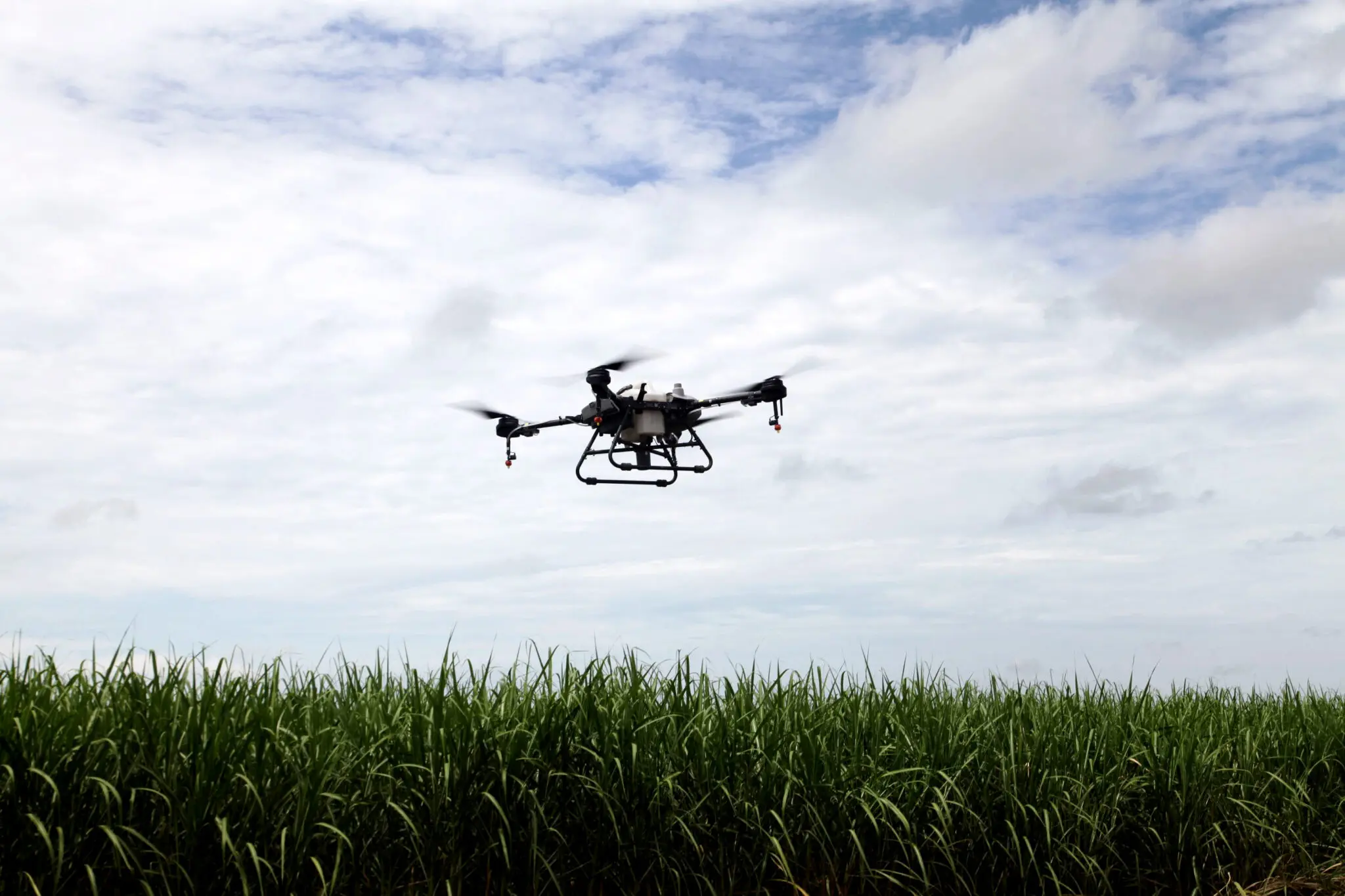 Sugarcane Farming: From Mules to Drones
