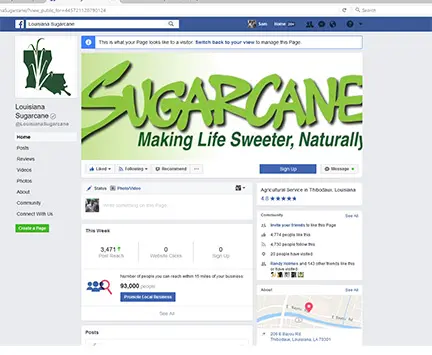 Facebook sugarcane