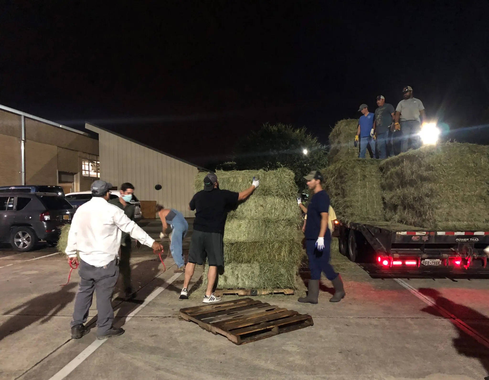 People moving pallet of hay