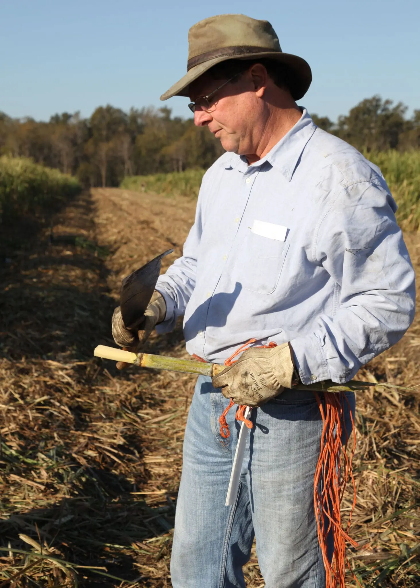 Herman Waguespack Jr.