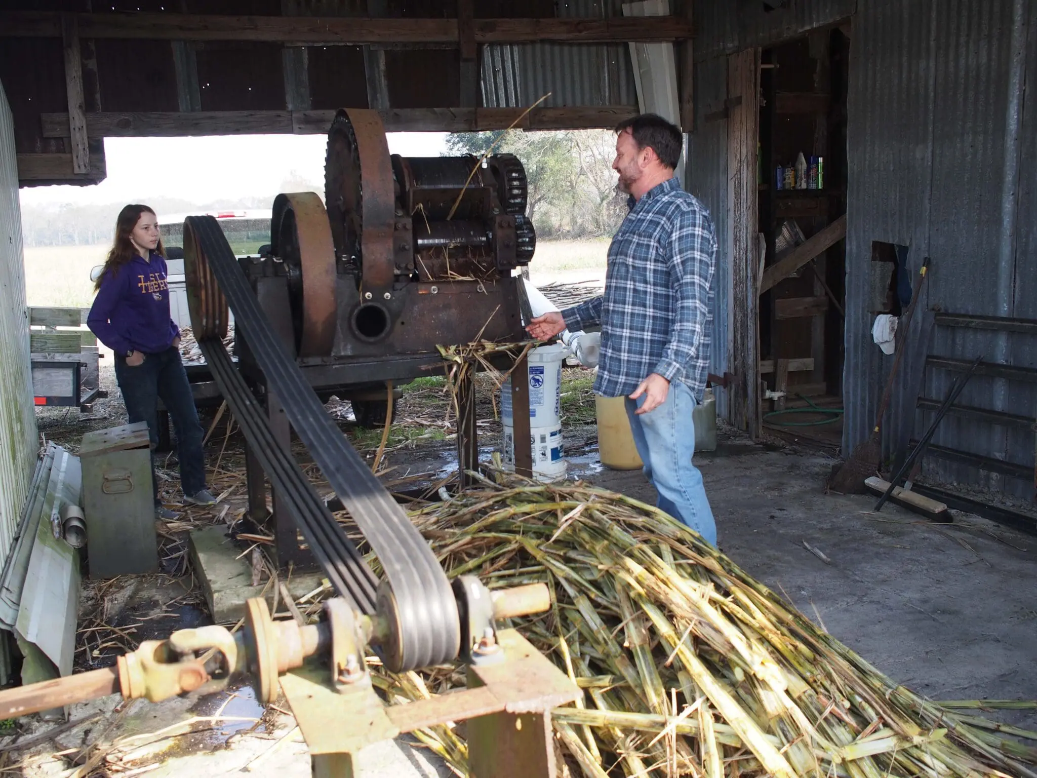 hobby sugarcane grinding Louisiana
