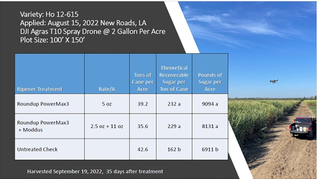 A chart shows the effects of sugarcane treated with ripeners dispersed from a drone. 