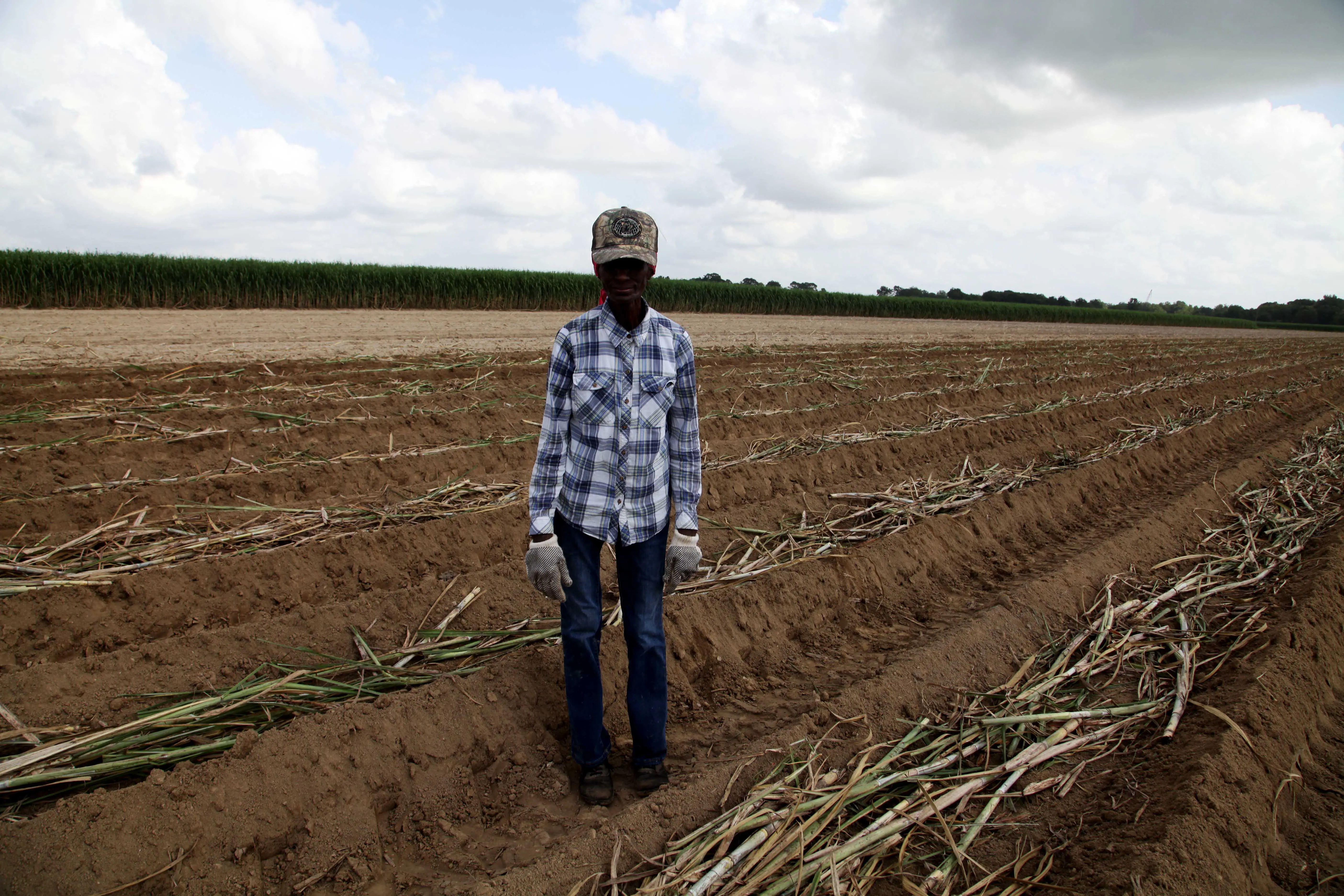 Local Louisiana sugarcane planter