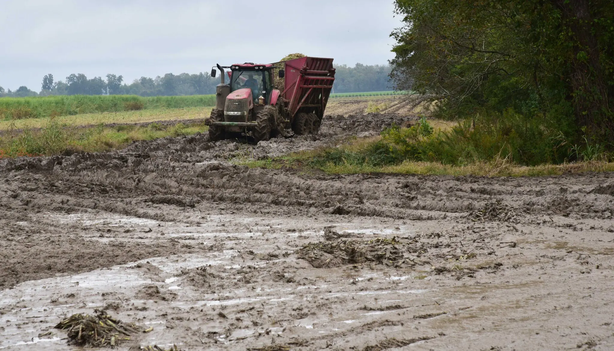 tractor and cart mussy conditions