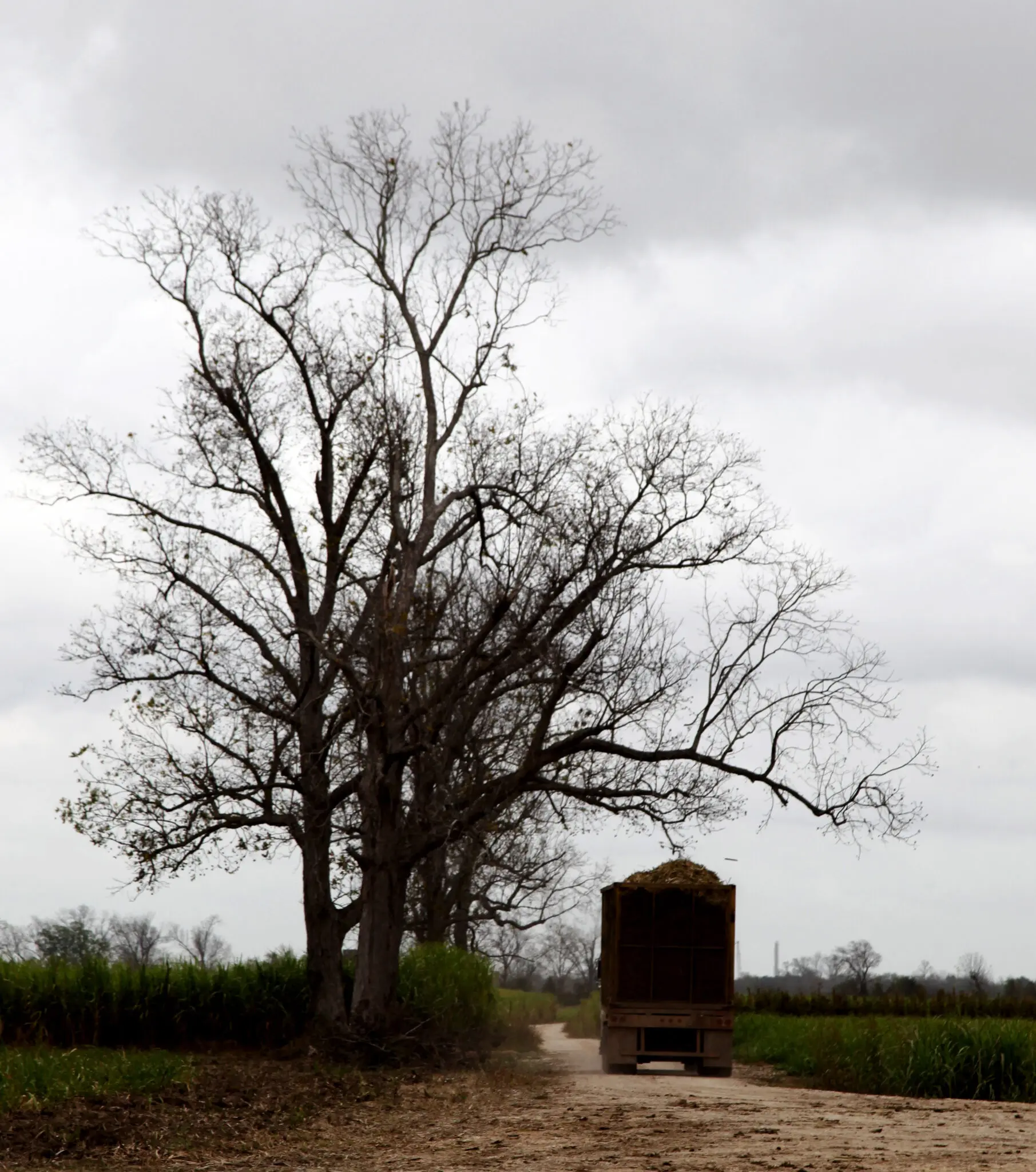 New Dept. of Labor wage rules not good for agriculture