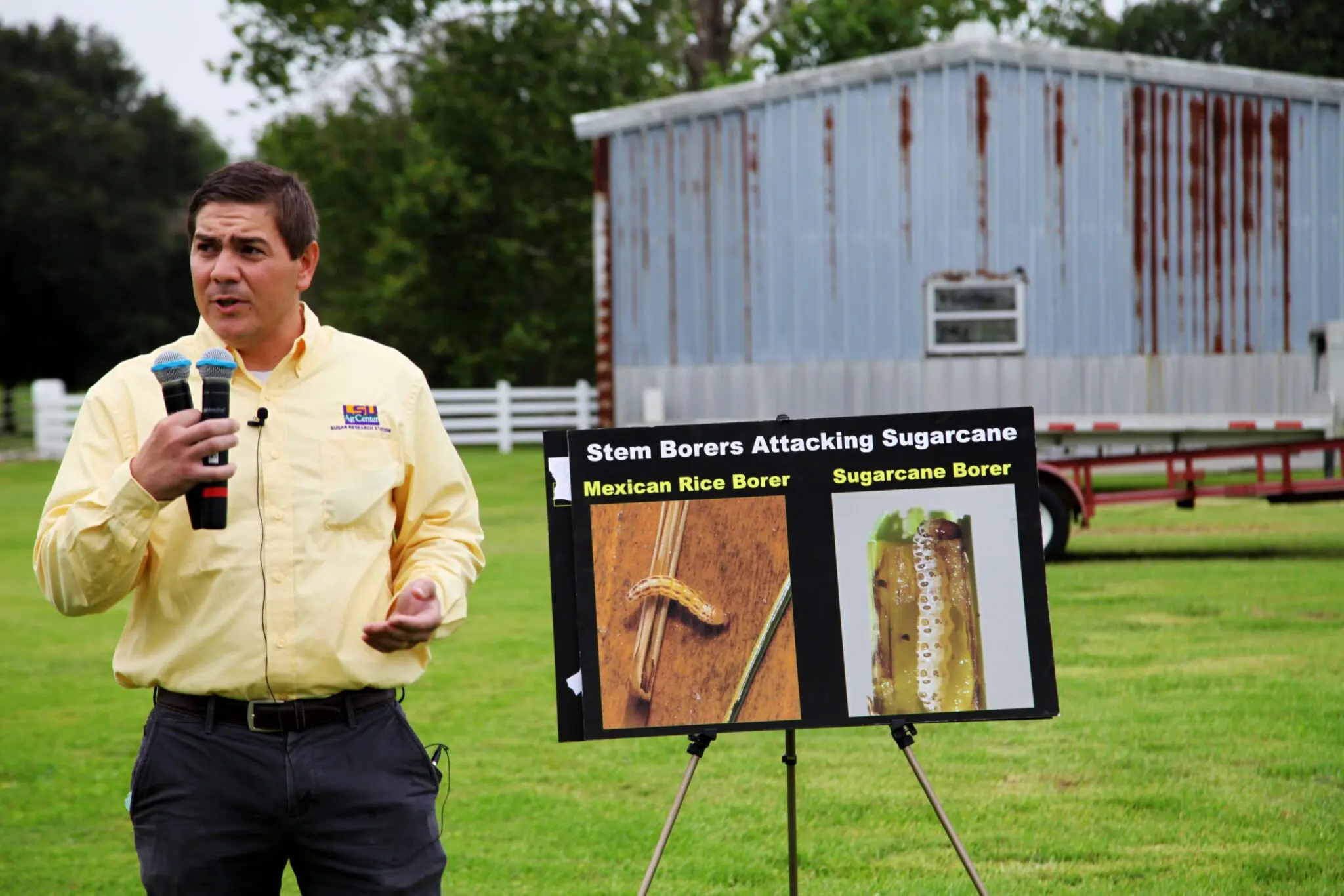 Blake Wilson, Entomologist 