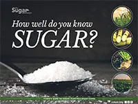 HowWellDoYouKnowSugar2019 cover