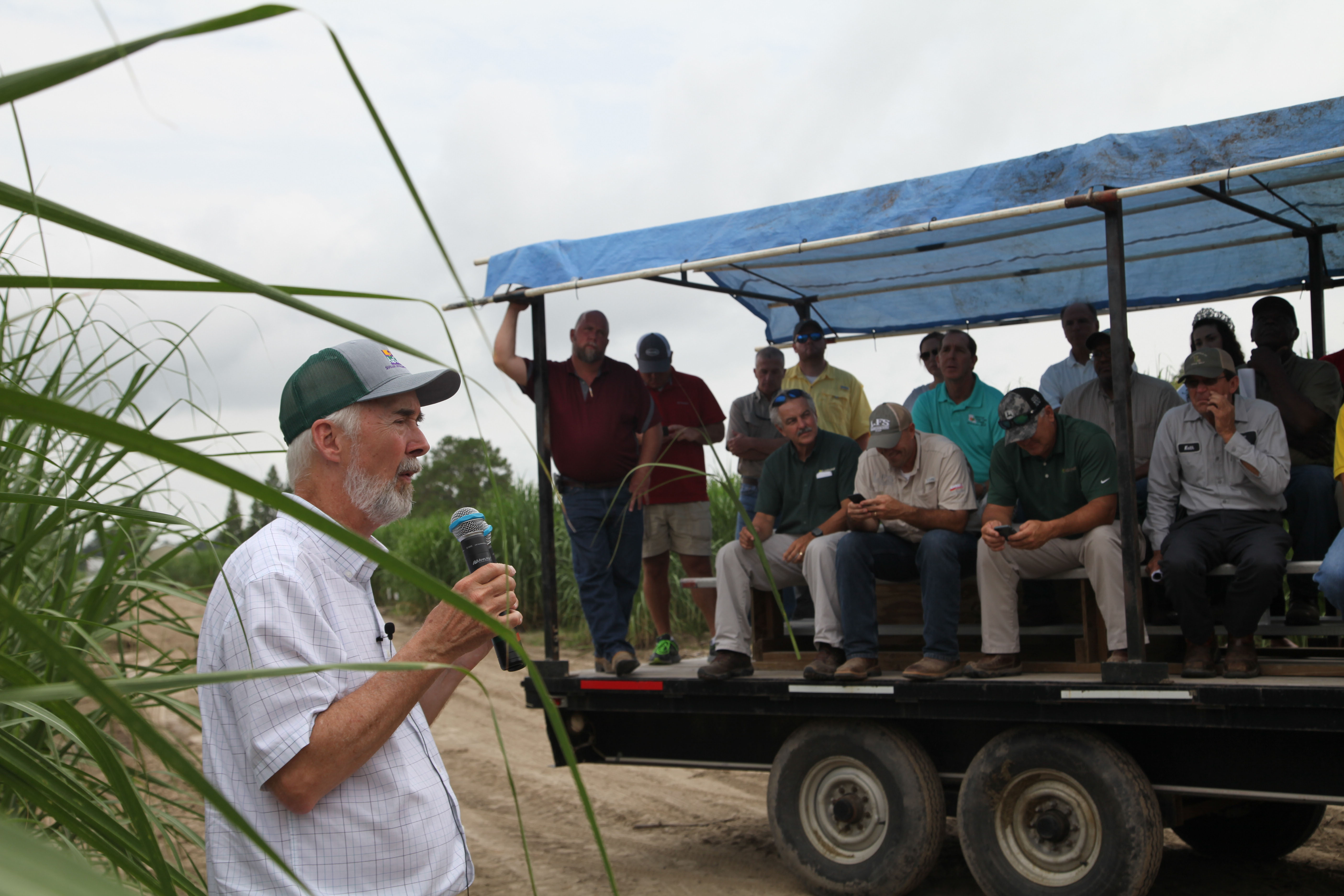 Dr. Jeff Hoy, Sugarcane Scientist