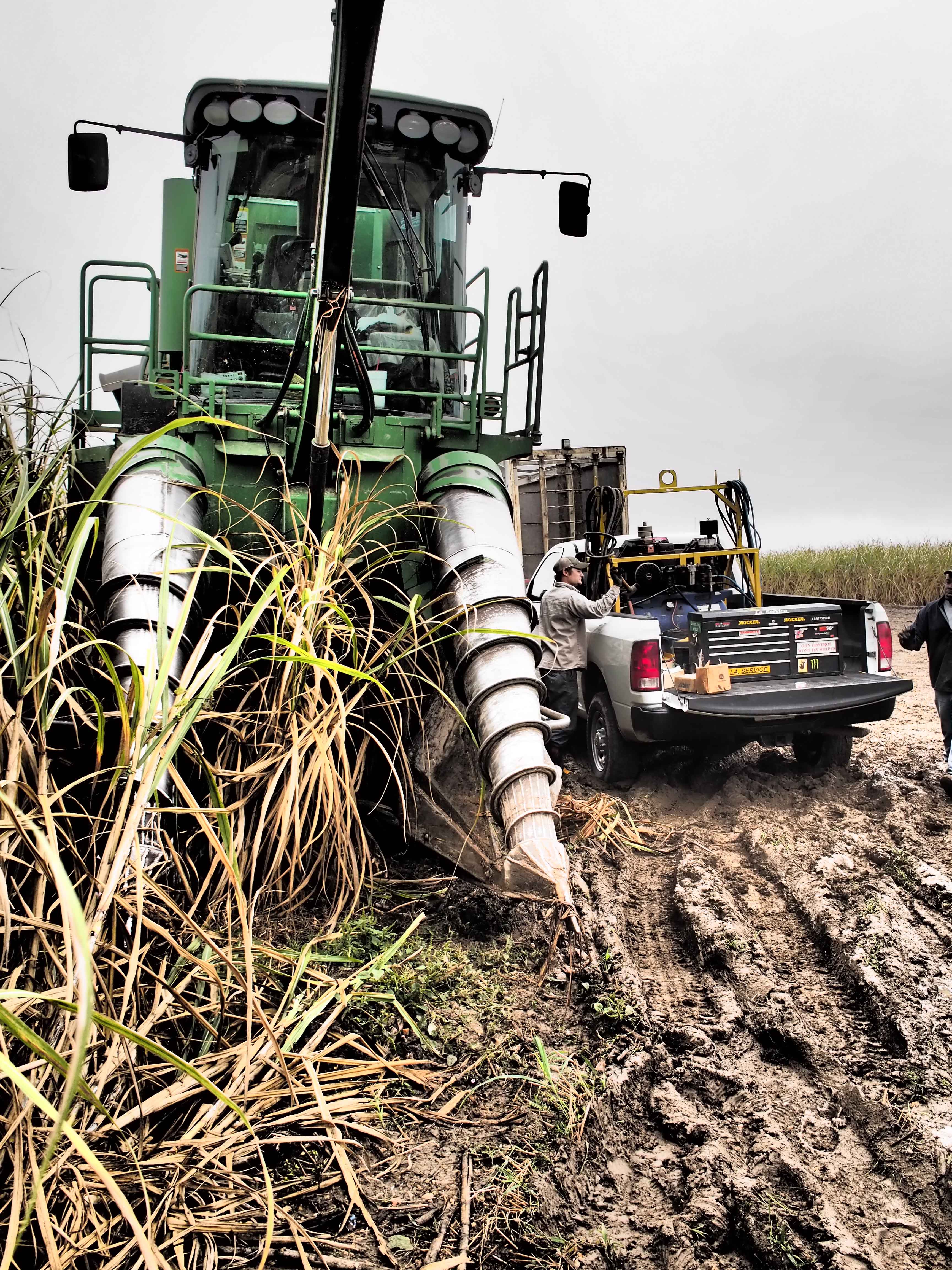 Muddy sugarcane harvester