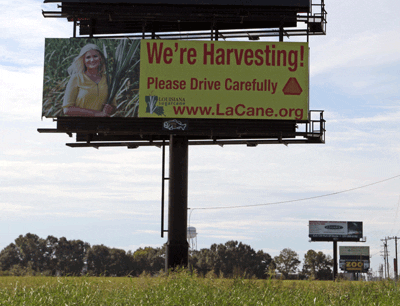 Harvest Safety Billboard