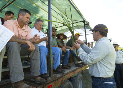 Blake Wilson at LSU Sugarcane Field Day 2016