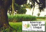 American Sugar Cane League