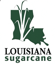 Louisiana Sugarcane