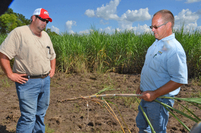 Frederick and Gauthier