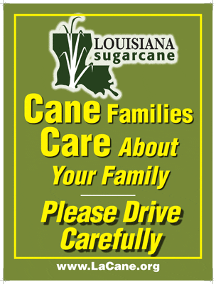 Cane Families Care