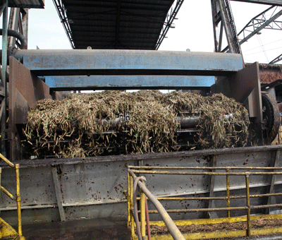 Grinding sugarcane in Louisiana 2016