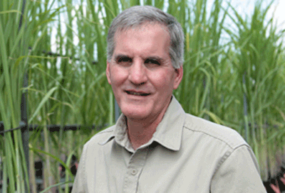 Sugarcane Researcher Ken Gravois