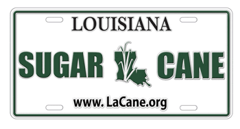 Louisiana Sugarcane