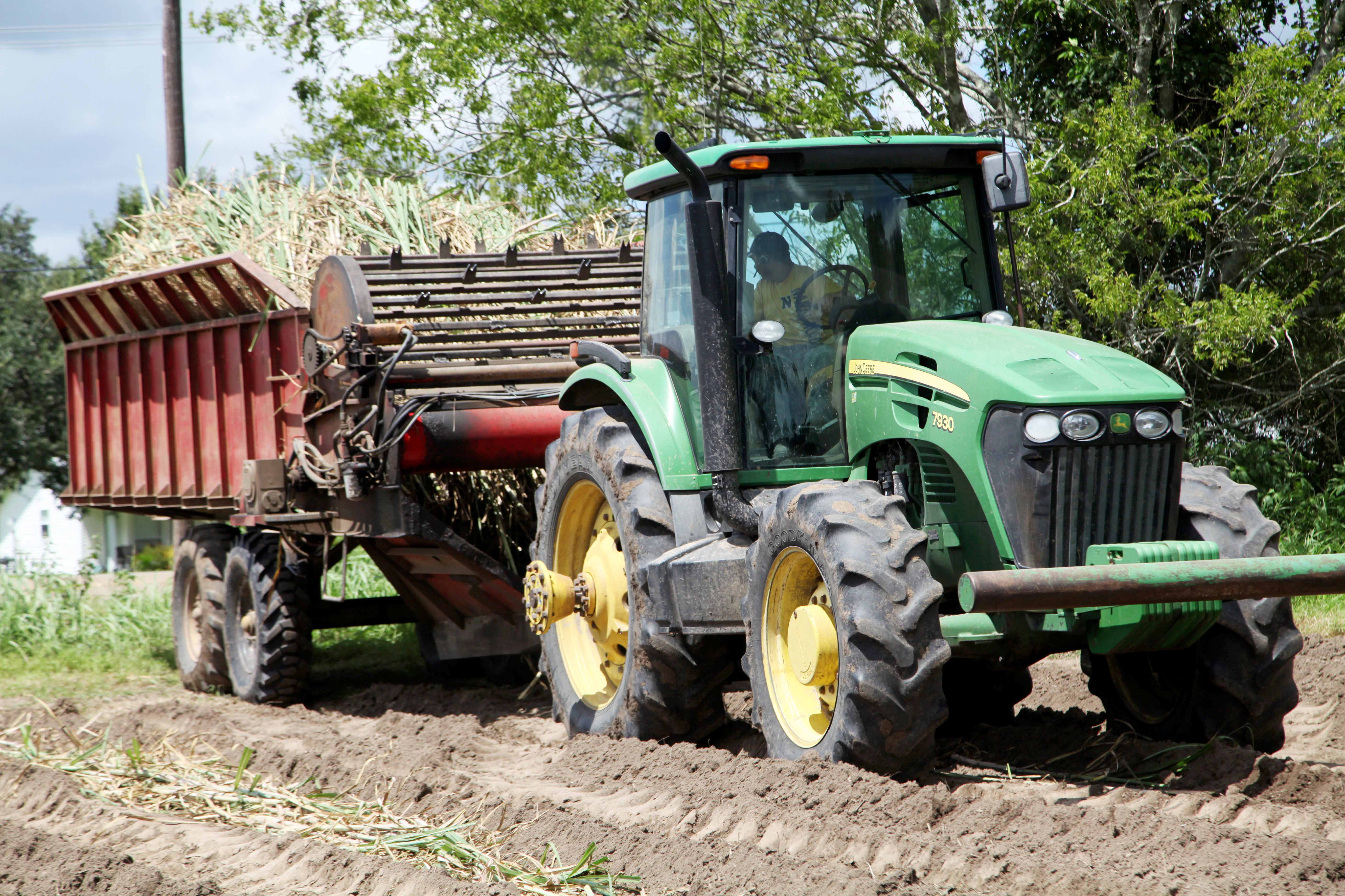Louisiana sugarcane planting 2018