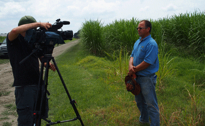 2016 St. Martin Sugarcane Field Day